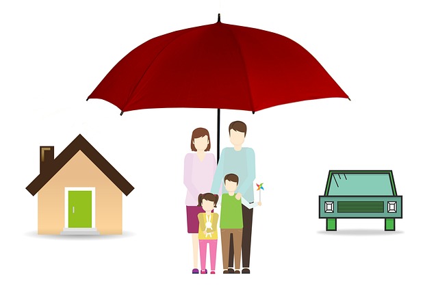 An In-Depth Guide to Different Types of Insurance and What You Really Need